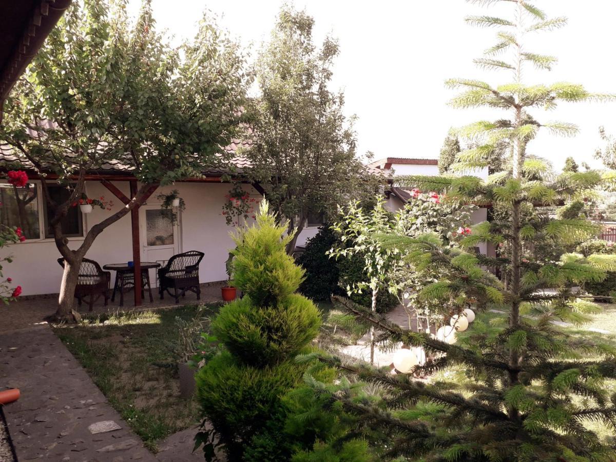 Casa Chitu Vendégház Murighiol Kültér fotó