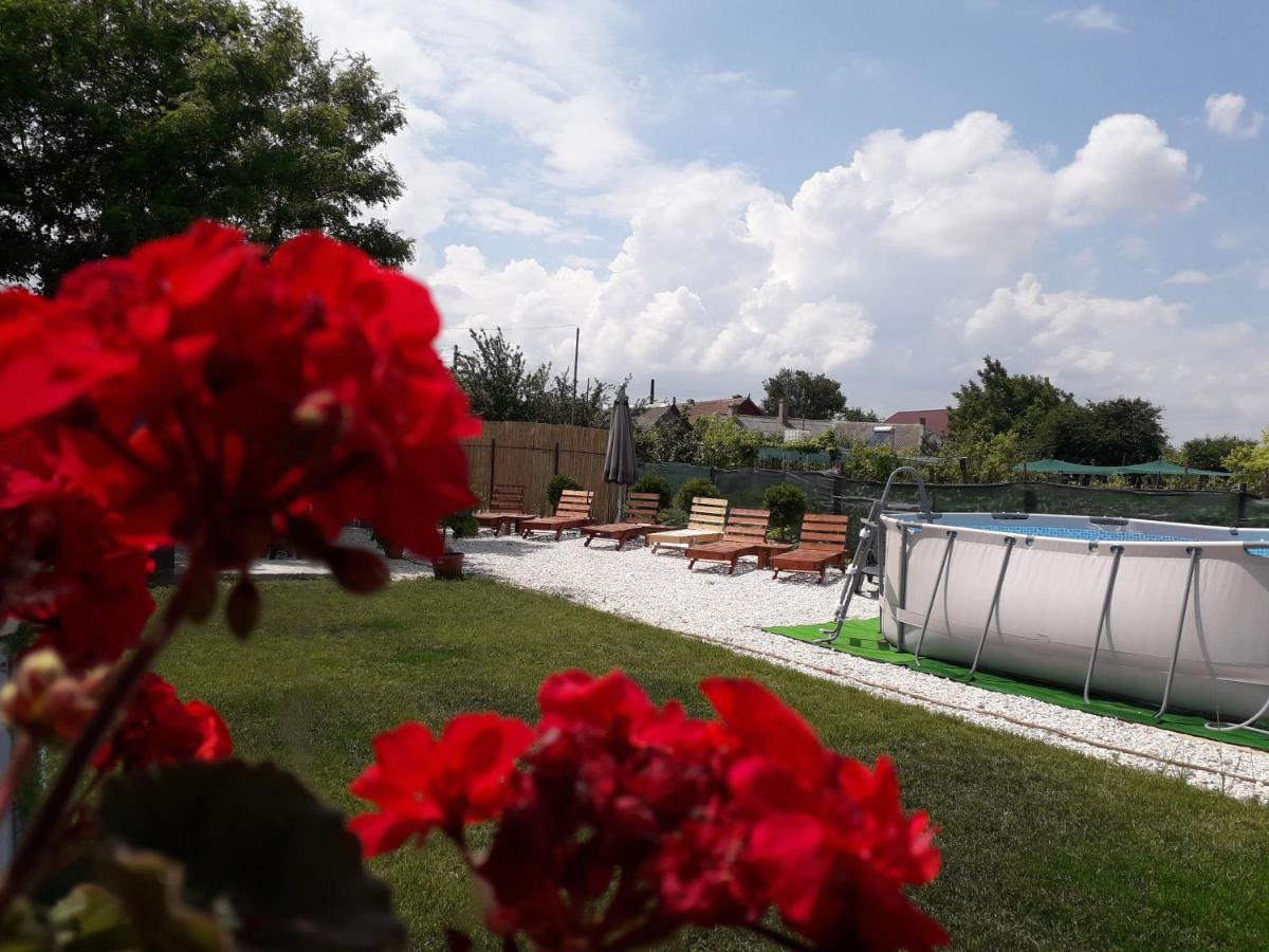 Casa Chitu Vendégház Murighiol Kültér fotó