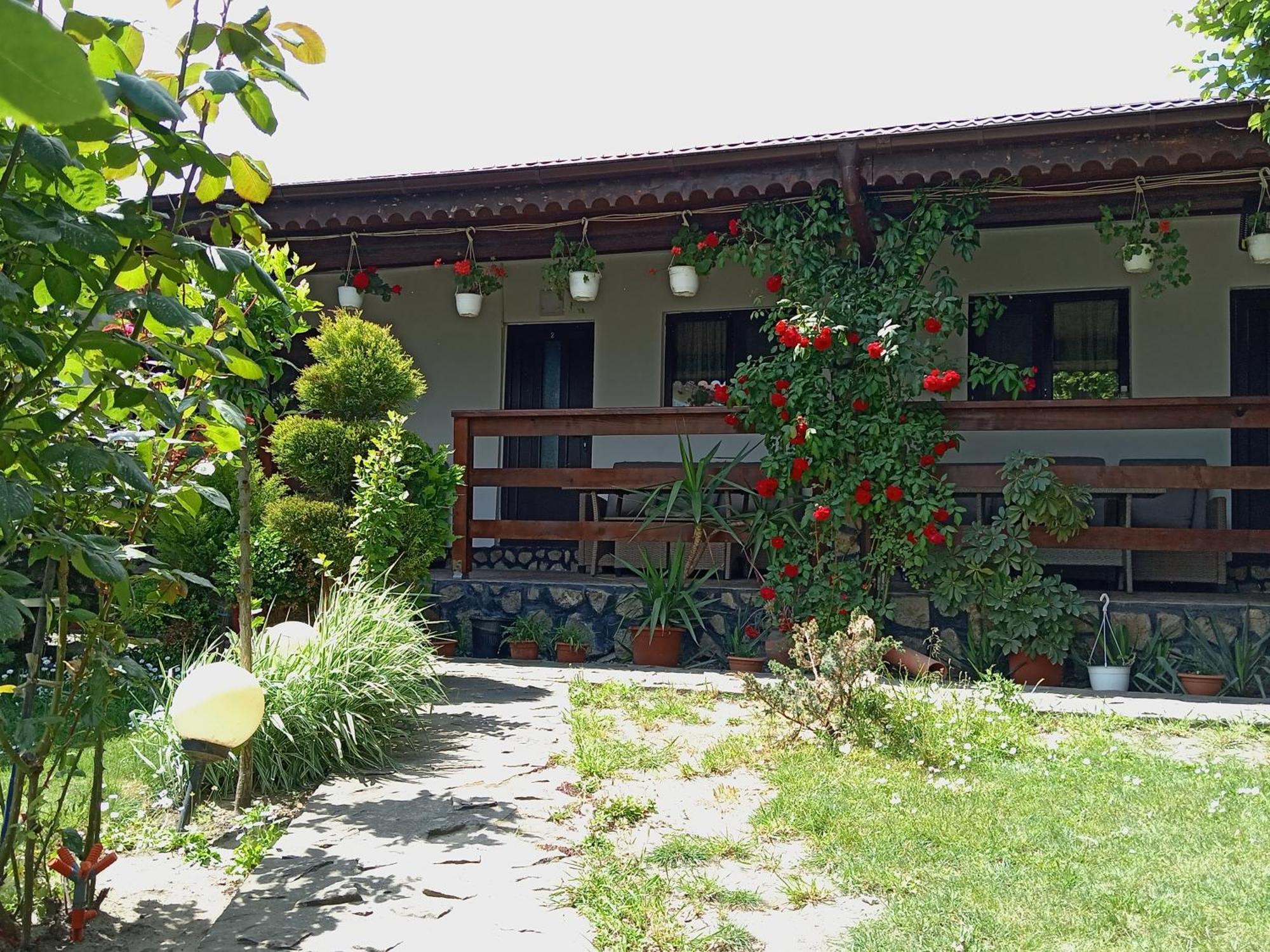 Casa Chitu Vendégház Murighiol Kültér fotó